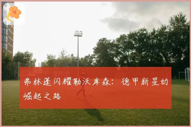 弗林蓬闪耀勒沃库森：德甲新星的崛起之路