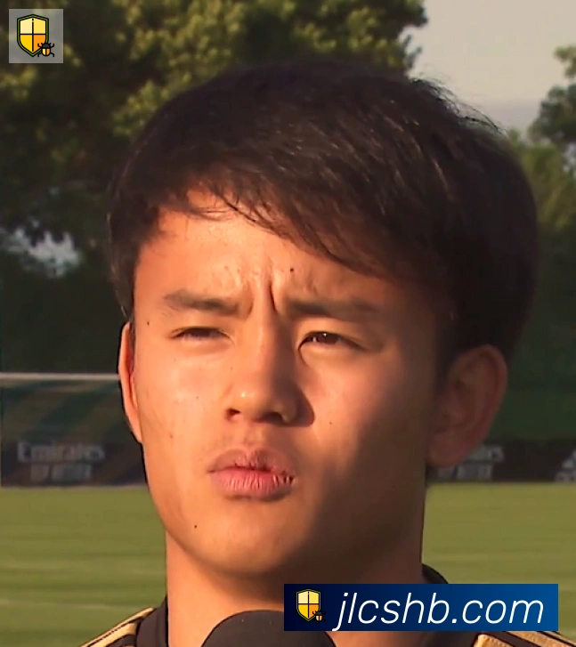 维尼修斯